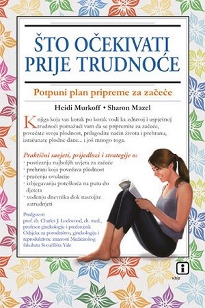 sto-ocekivati-prije-trudnoce