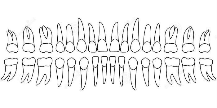 Mliječni zubi