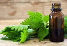 Tinktura od koprive – kopriva kao lijek, za kosu, nuspojave i gdje kupiti? Tinktura od koprive