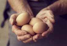 Salmonela kod djece i odraslih – simptomi, inkubacija, uzroci i liječenje