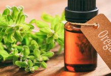 Ulje divljeg origana – kako piti, gdje kupiti i nuspojave Ulje divljeg origana