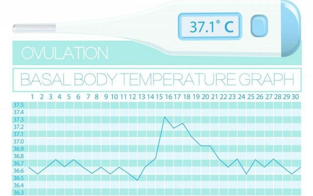 Bazalna temperatura - povišena tjelesna temperatura kao znak trudnoće