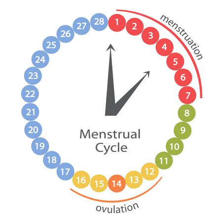 Bazalna temperatura - povišena tjelesna temperatura kao znak trudnoće