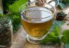 Čaj od koprive za mršavljenje i kosu – nuspojave, priprema i cijena Čaj od koprive