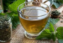 Čaj od koprive za mršavljenje i kosu – nuspojave, priprema i cijena Čaj od koprive