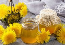 Med od maslačka – recept, ljekovitost i za što se koristi? Med od maslačka – kako se pravi i za što se koristi?