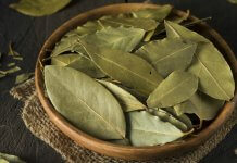 Sirup od lovora – recept za prirodni lijek za kašalj Sirup od lovora - lijek za kašalj