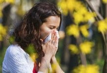 Ambrozija – simptomi alergije, kako ih prepoznati, spriječiti i olakšati? Ambrozija - kako prepoznati, spriječiti i olakšati simptome alergije?