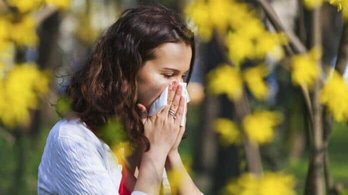 Ambrozija - kako prepoznati, spriječiti i olakšati simptome alergije?
