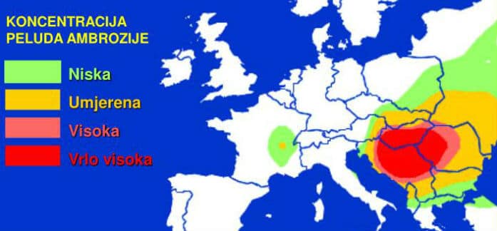 Koncentracija peludi ambrozije u Europi