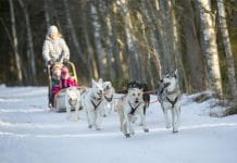 Poklonite nešto drugačije, poklonite doživljaje! SelectBox