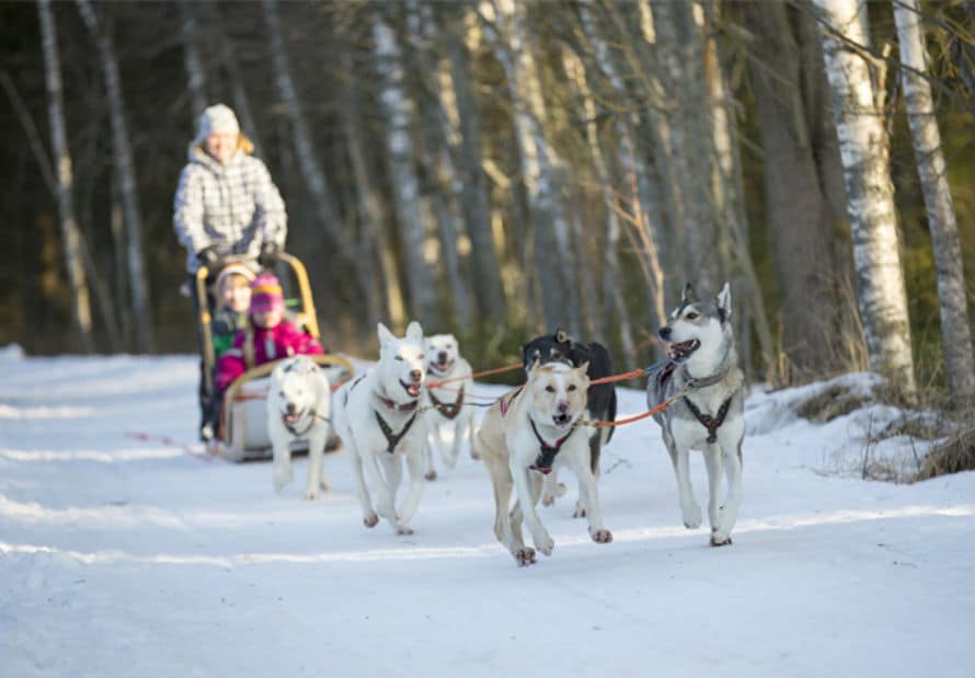 Poklonite nešto drugačije, poklonite doživljaje! SelectBox