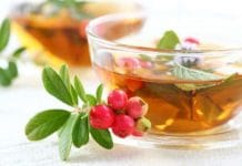 Uvin čaj za bubrege, jajnike i upalu mokraćnih kanala – ljekovitost, nuspojave i priprema Uvin čaj za bubrege i urinarne infekcije