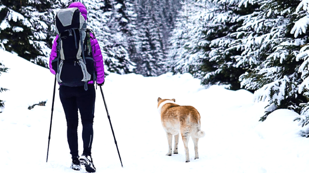 Savršen poklon za sve ljubitelje sporta